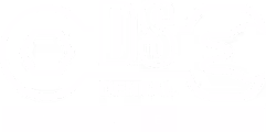 DS Dental Engineering